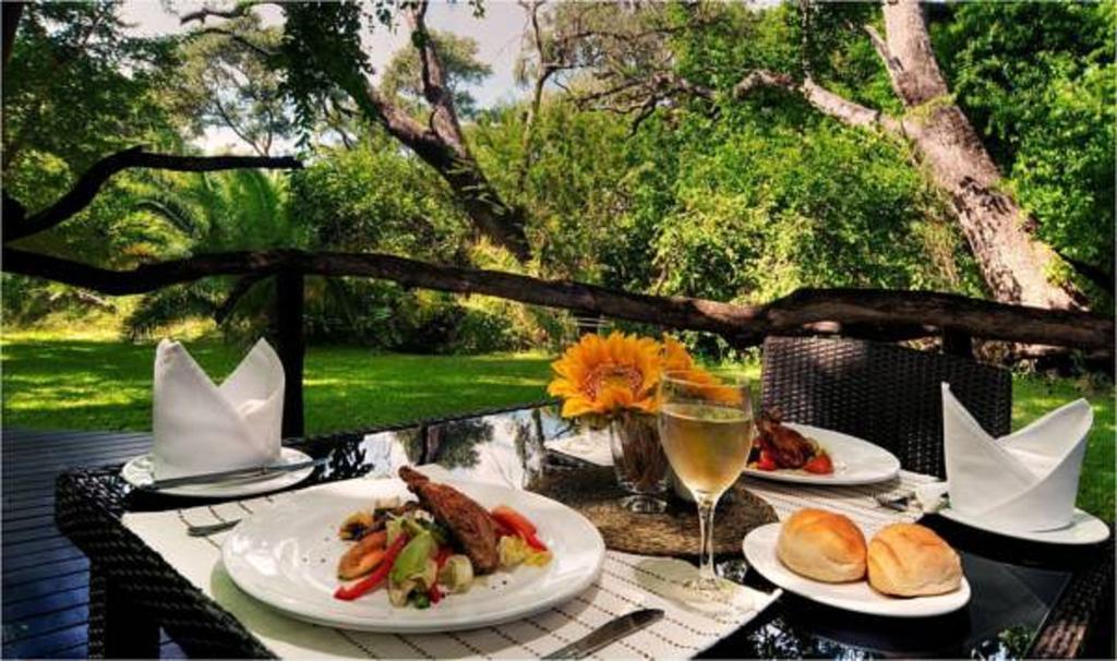 Royal Tree Lodge Maun Luaran gambar