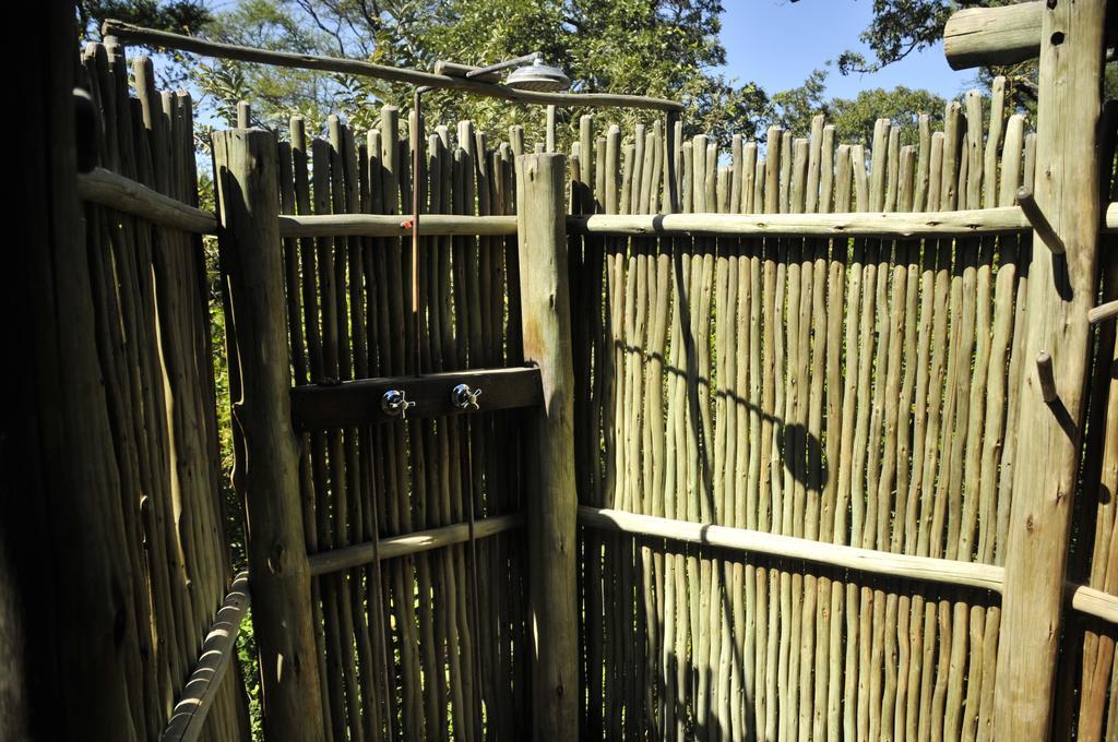 Royal Tree Lodge Maun Bilik gambar