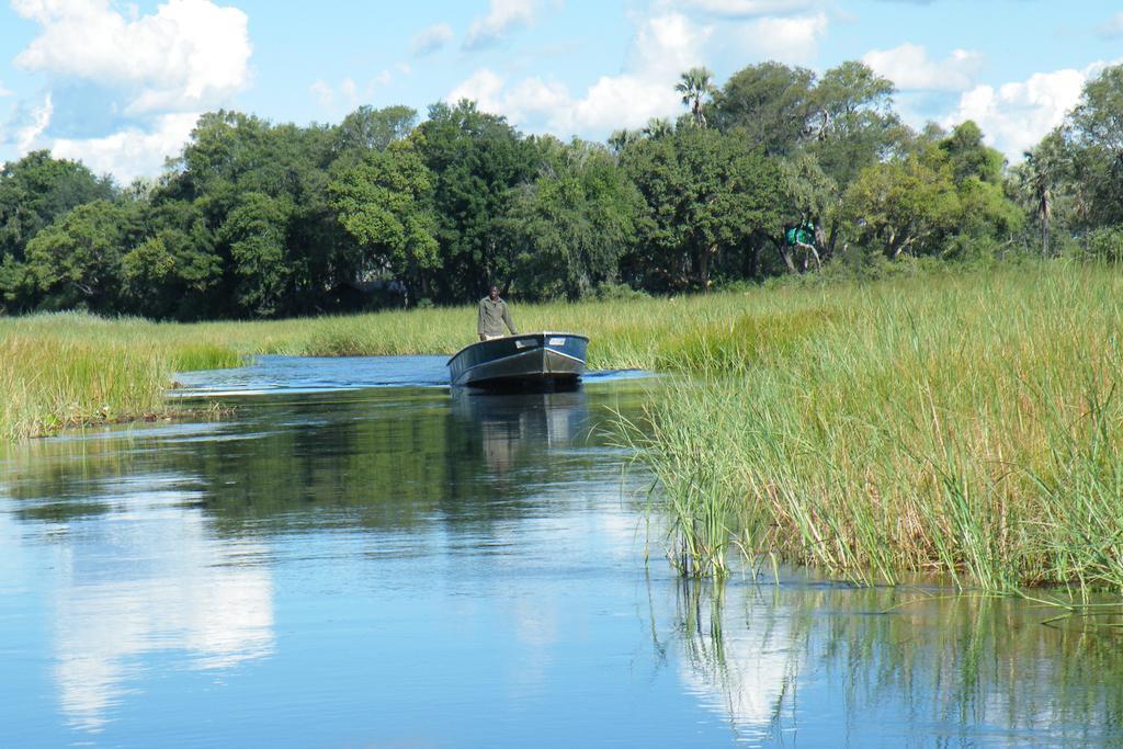 Royal Tree Lodge Maun Luaran gambar