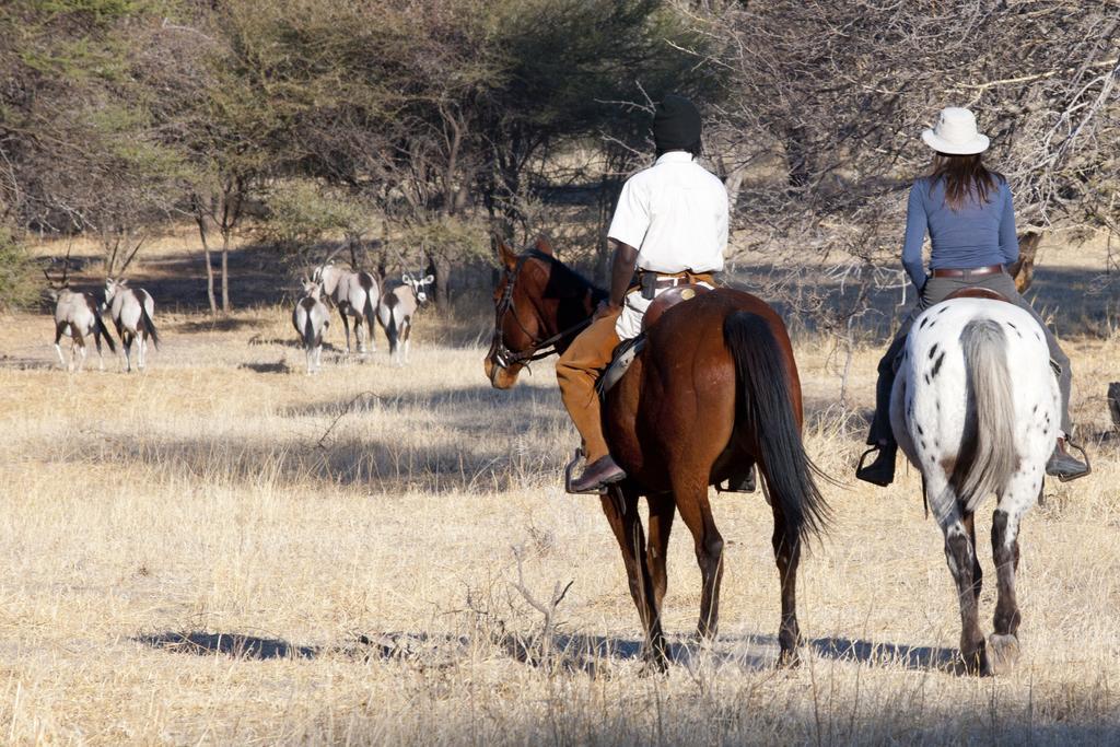 Royal Tree Lodge Maun Luaran gambar