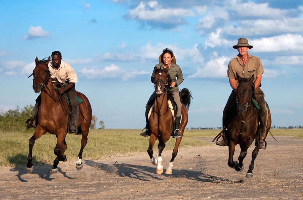 Royal Tree Lodge Maun Luaran gambar