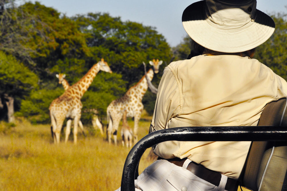 Royal Tree Lodge Maun Luaran gambar
