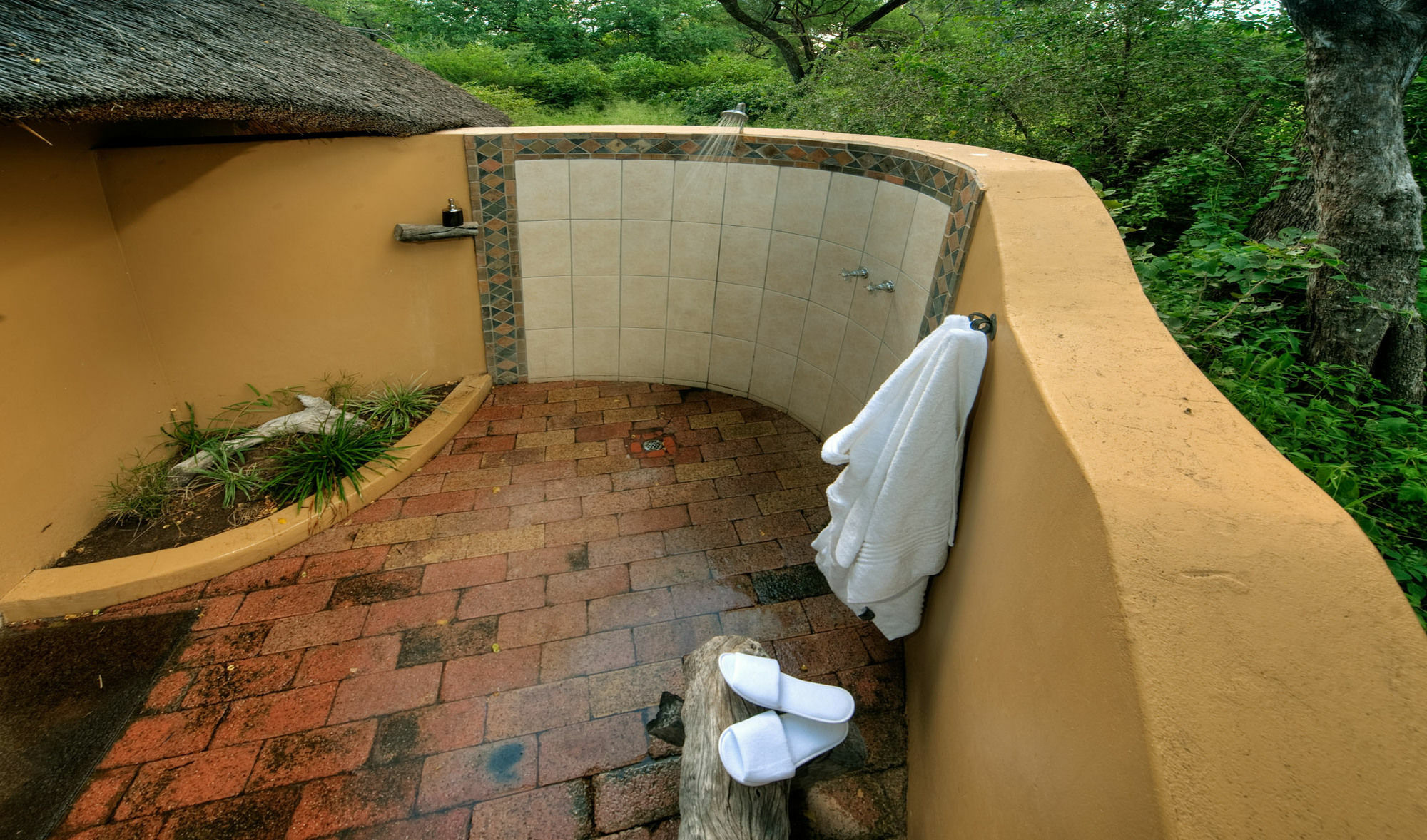 Royal Tree Lodge Maun Luaran gambar