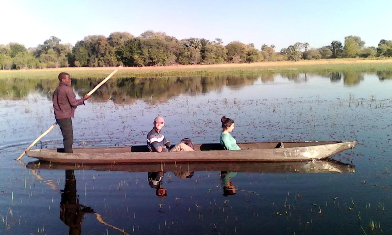 Royal Tree Lodge Maun Luaran gambar